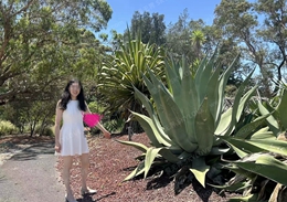 国际交友服务动态