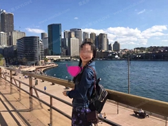 国际交友服务动态